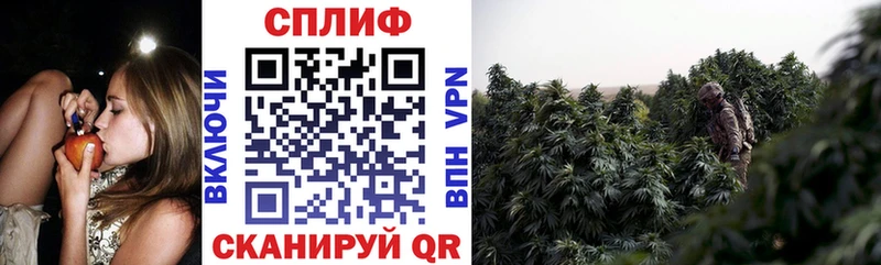 Купить наркоту Тюмень ГАШ МАРИХУАНА МЕТАМФЕТАМИН Меф мяу мяу