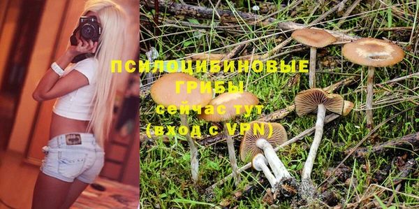 соль ск Абдулино