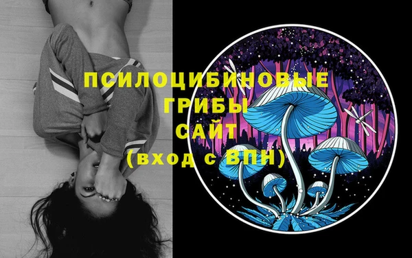 соль ск Абдулино