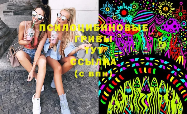 соль ск Абдулино