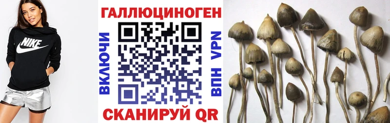 Псилоцибиновые грибы Cubensis  Тюмень 
